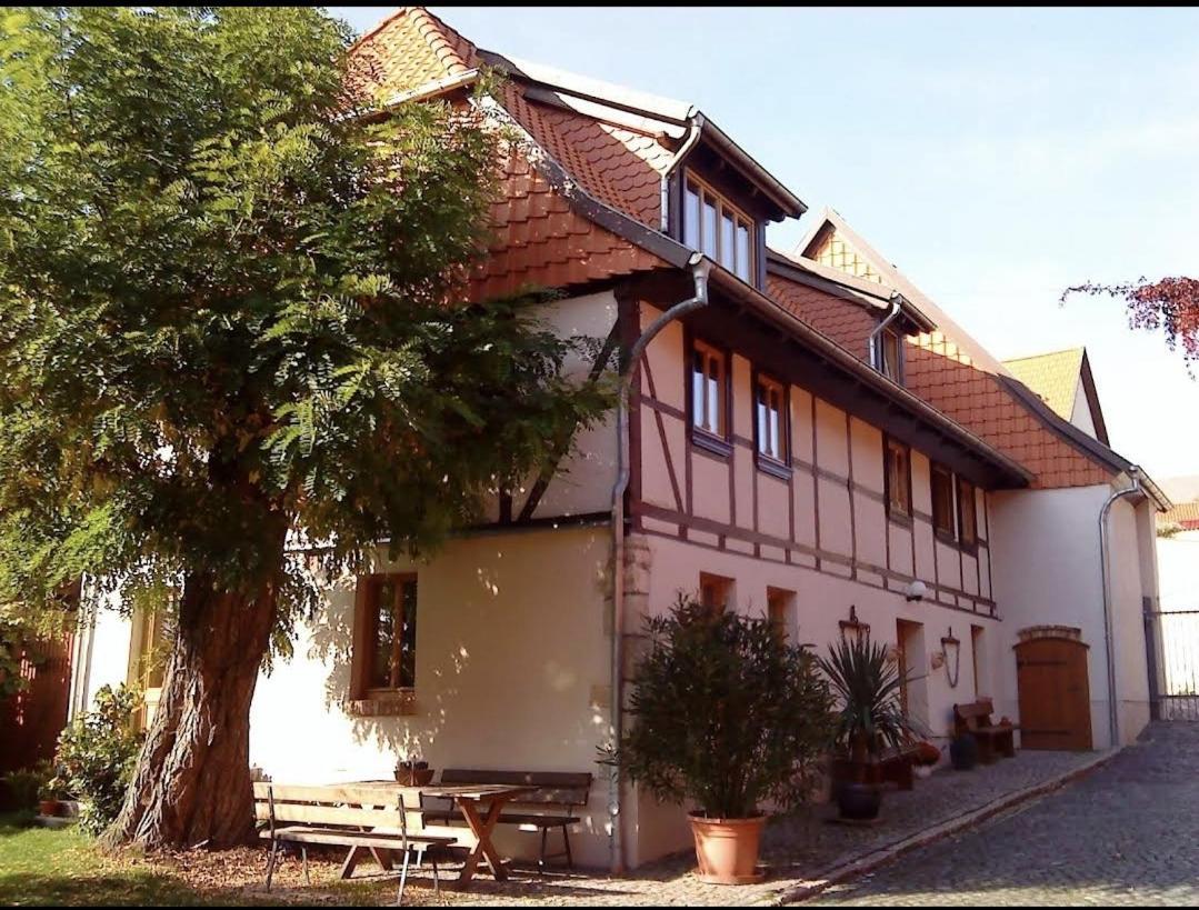 Pension Robinienhof Schadeleben Exterior photo